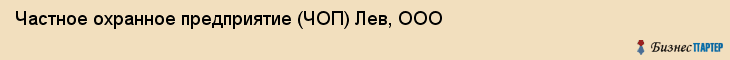 Частное охранное предприятие (ЧОП) Лев, ООО, Тюмень