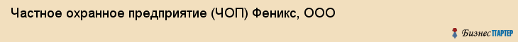 Частное охранное предприятие (ЧОП) Феникс, ООО, Тюмень